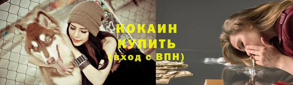 соль ск Аркадак