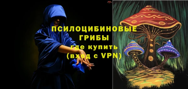 ешки Арсеньев