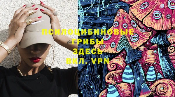 ешки Арсеньев
