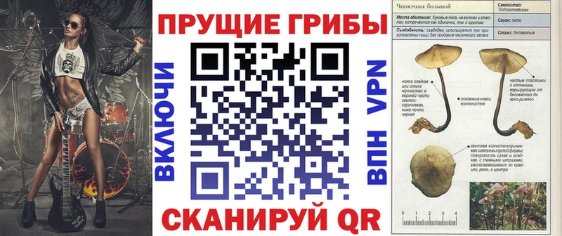 МЕГА рабочий сайт  магазин продажи   Сорочинск  дарк нет наркотические препараты  Галлюциногенные грибы прущие грибы 